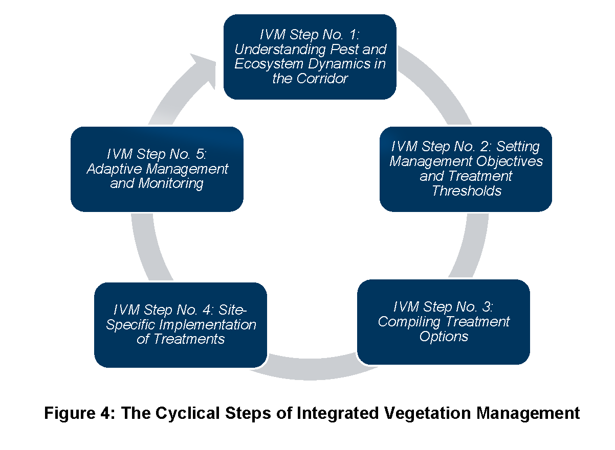 Vegetation Guideline Policy Management Development Implementation